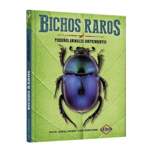 Libro Insectos Bichos Raros Pequeños Animales Sorprendentes