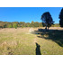 Cod40230 Venta Agricola 29h Y Casa Dicahue Lago Colico Cunco