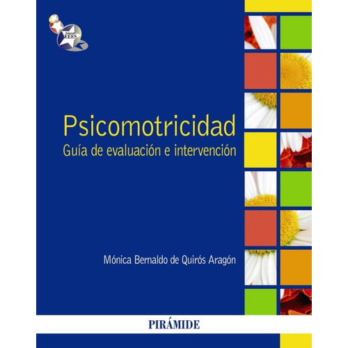 Psicomotricidad: Guía De Evaluación E Intervención, De Mónica Bernaldo De Quirós. Editorial Piramide En Español