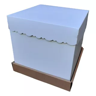  Cajas Para Drip Cake (25x25x25) X 5 Unidades