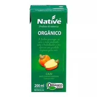 Néctar Orgânico De Caju Native 200 G