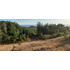 Parcela 3000 M2 En Venta Cobquecura