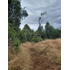 Espectacular Campo De 200 Hectareas En Loncoche