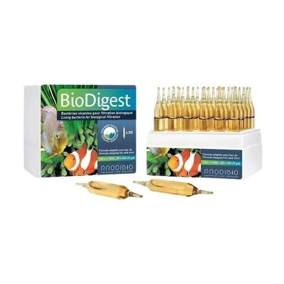 Biodigest  Salada/dulce 30 Ampolletas Bacteria  Prodibio