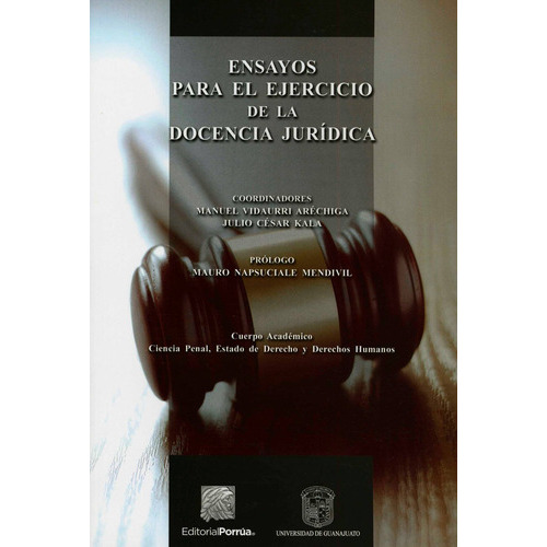 Ensayos Para El Ejercicio De La Docencia Juridica, De Vidaurri Arechiga, Manuel. Editorial Porrua, Tapa Rustica En Español