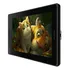 Tableta Digitalizadora Huion Kamvas Pro 13 Gt-133 Black