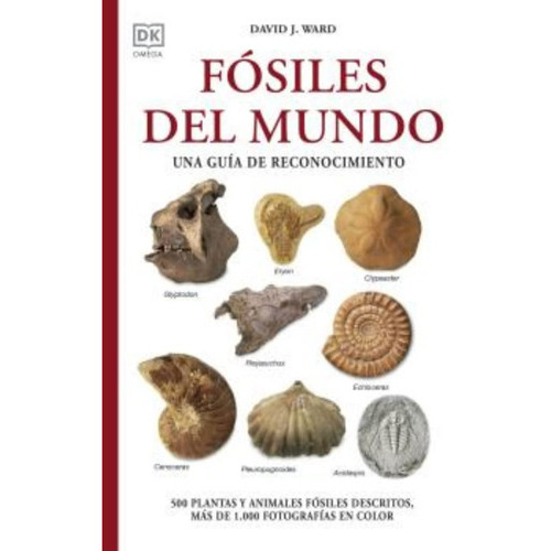 Fósiles Del Mundo, De Ward; David J.. Editorial Omega Ediciones, Tapa Blanda, Edición 1 En Español, 2023