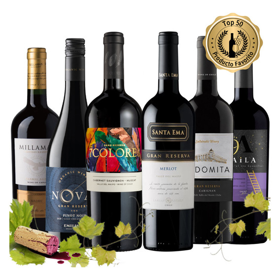 6 Vinos Mix Gran Reserva Tintos