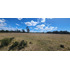 Venta Terreno-sitio  Sector Rulo En Calbuco
