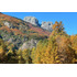 Venta Campo Curarrehue