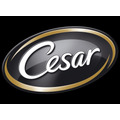 Cesar