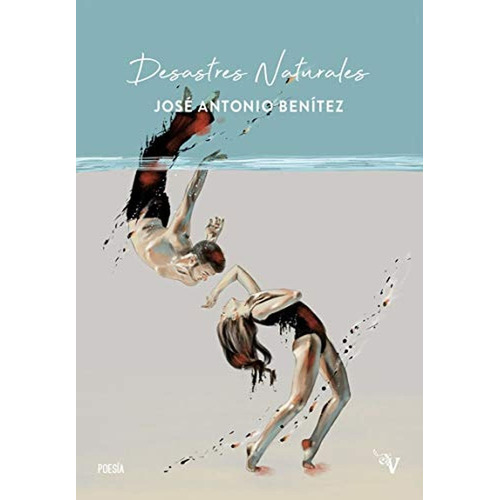 Desastres Naturales, De Benítez, José Antonio. Editorial Valparaiso, Tapa Blanda, Edición 1 En Español, 2019