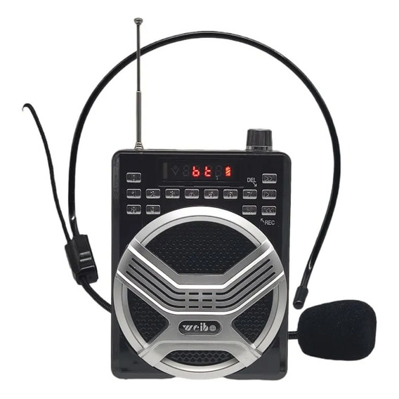 Parlante Radio Amplificador Micrófono Portátil Sd Bluetooth 