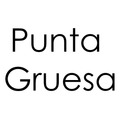 development-logo