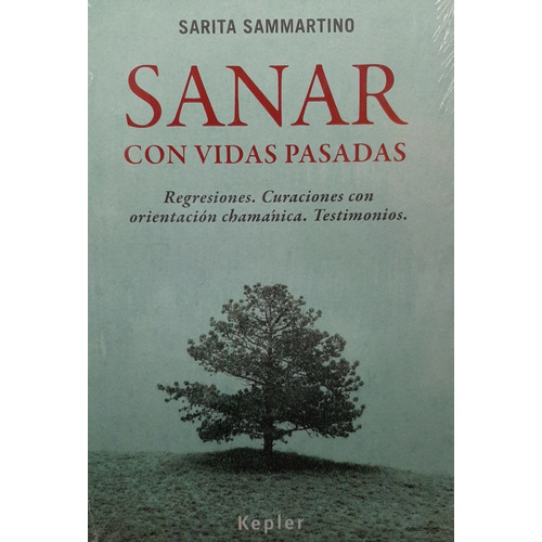 Sanar Con Vidas Pasadas - Sarita Sammartino - Kepler - Libro