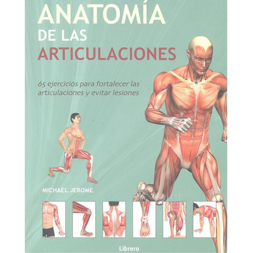 Anatomia De Las Articulaciones
