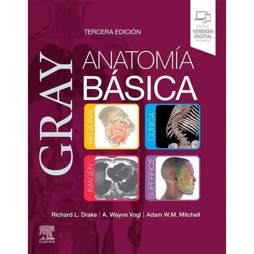 Libro Gray. Anatomia Basica 3ed., De Drake. Editorial Elsevier, Tapa Tapa Blanda En Español, 2023