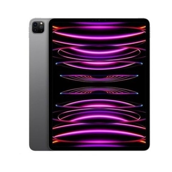 iPad  Apple  Pro 4th generation 2022 A2761 11" con red móvil 256GB gris espacial 8GB de memoria RAM