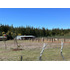 Oportunidad Parcela 5.000 Mts (93879)
