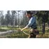 Red Dead Redenption 2 Playstation 4