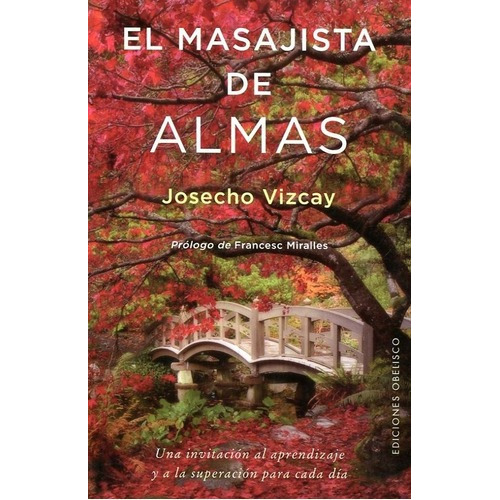 Masajista De Almas, El - Josecho Vizcay, De Josecho Vizcay. Editorial Obelisco En Español