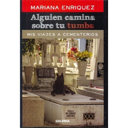 Alguien Camina Sobre Tu Tumba - Mariana Enríquez