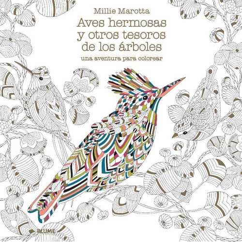 Aves Hermosas Y Otros Tesoros De Los Árboles- Libro Colorear