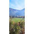 Venta Terreno - Sitio 1500mts San José De Maipo