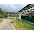 Vendo O Permuto Finca En Fusagasuga Vereda Guchipas