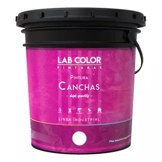 Pintura Para Canchas Deportivas X 20l