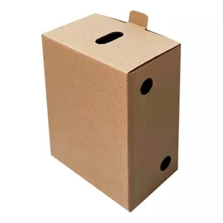 Caixa De Papelão Embalagens Para Picole (100 Peças)