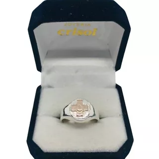 Anillo Auxiliar De Servicio Plata Y Logo En Oro