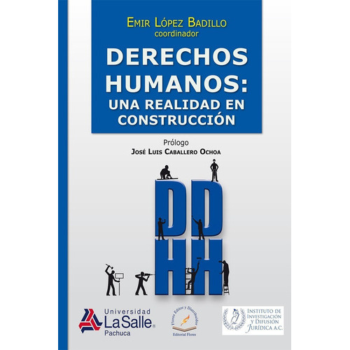 Derechos Humanos: Una Realidad En Construcción (3456), De Emir López Badillo. Editorial Flores, Tapa Blanda En Español, 2016