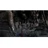 The Walking Dead The Telltale Definitive Series Ps4 Fisica