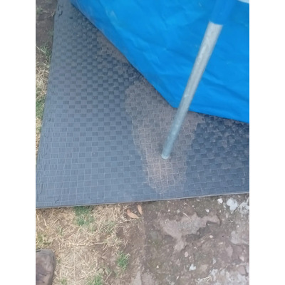 Foto del comprador