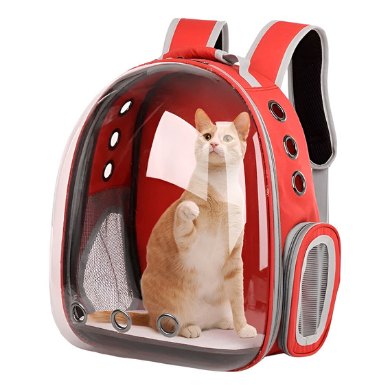 Mochila Gato Transportes Transparente Mascotas Gatos Bolso