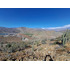 Terreno De 5.000 M2. Sector Los Algodones
