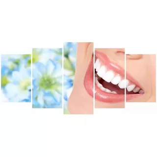 Quadro Decorativo Sorriso Consultório Odontológico Mosaico