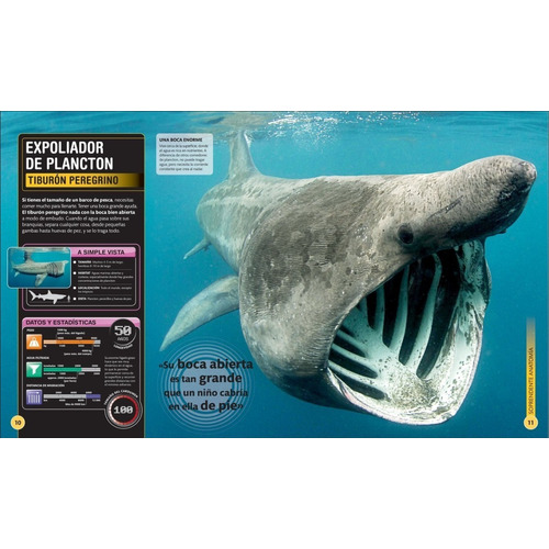 Dk Enciclopedia Super Tiburones