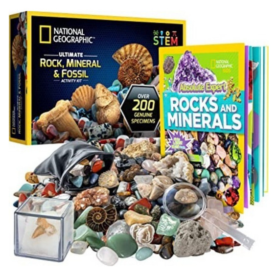 Kit De Colección De 200 Rocas, Fósiles Y Minerales Reales
