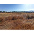 Terreno Agrícola En Venta, Campo De 60 Ha, Teno