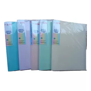 Carpeta Catalogo Color Pastel 30 Hojas Crisvi