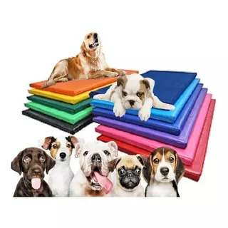 Colchonete Petlife Cores 70x50cm Impermeável Caminha Cães