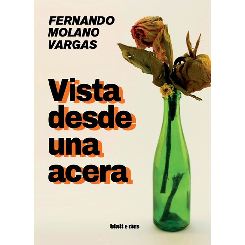 Vista Desde Una Acera  - Fernando Molano Vargas