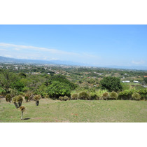 Vendo Finca De 5.000 M2 En Santa Barbara, Con Vista Espectacular Y Un Clima Exquisito, Ideal Quinta Familiar