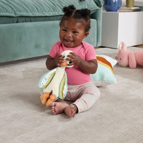 Fisher toys baby outlet