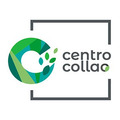 development-logo