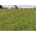 Venta Parcela 5000mts Cunco