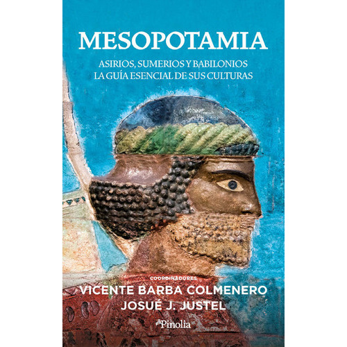 Mesopotamia, de VICENTE BARBA COLMENERO. Editorial Pinolia, S.l., tapa blanda en español