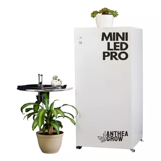 Armario Indoor Carpa Cultivo Completo Mini Led Pro Anthea